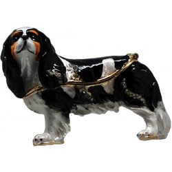 King Charles Tricolour...