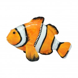 Clown Fish Trinket Box